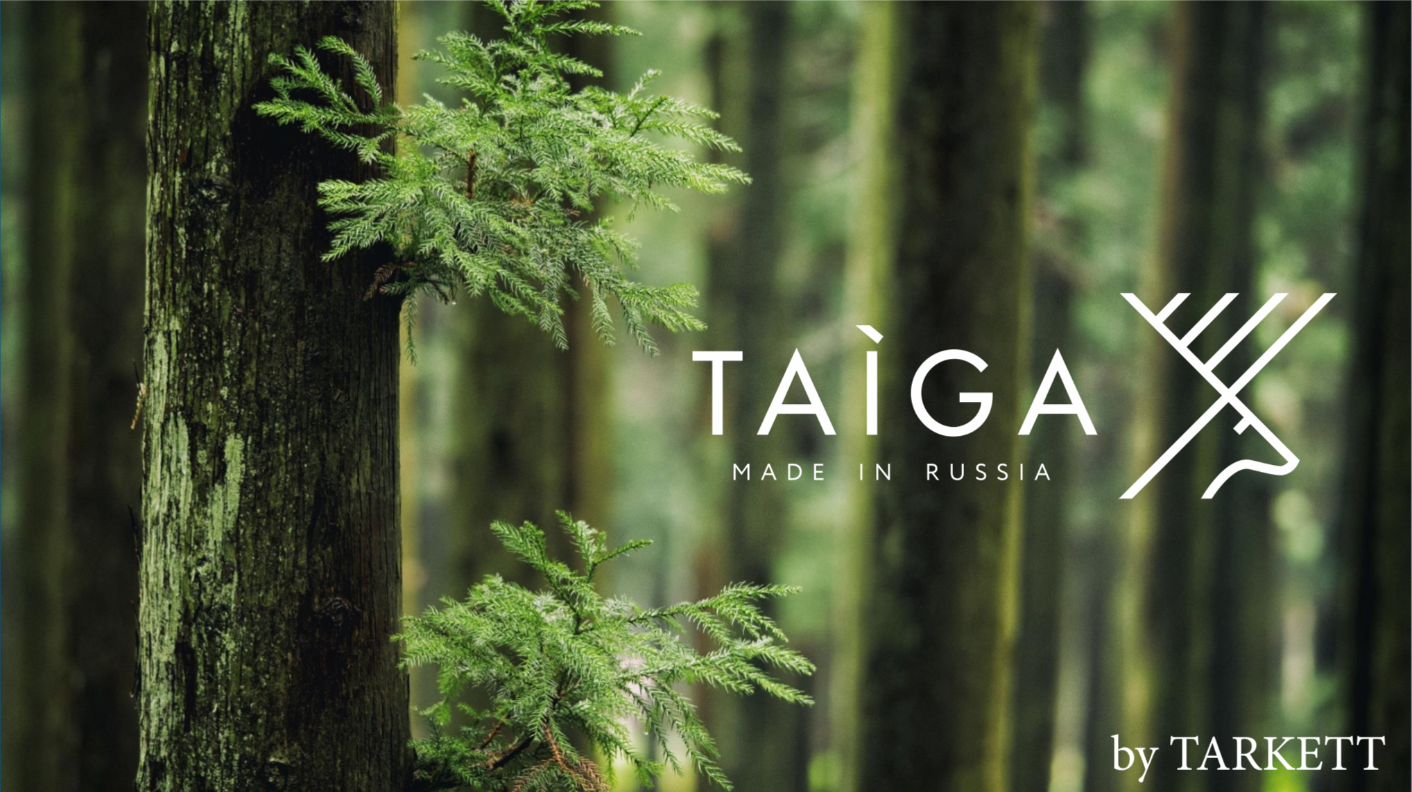 TAIGA by Tarkett