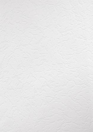 Купить Erismann Обои 2858-1 антивандальные под покраску (1.06*25,00 м)  компакт\винил-флиз Erismann Россия/4 по выгодной цене в Екатеринбурге |  Агора