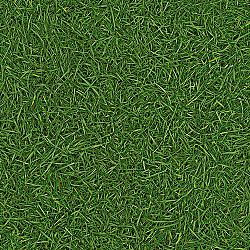 Линолеум Bingo 025 Grass IVC