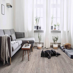 Линолеум Holiday Indian Oak 7 IDEAL