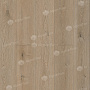 ПВХ-плитка клеевая Дуб Миндальный Easy Line ALPINE FLOOR ECO 3-27