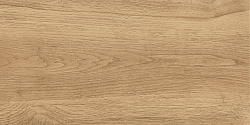Керамогранит Florida Бежевый GT220VG GLOBAL TILE