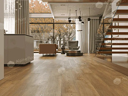 SPC-ламинат замковая Дуб Модерн Premium ALPINE FLOOR ECO 24-2