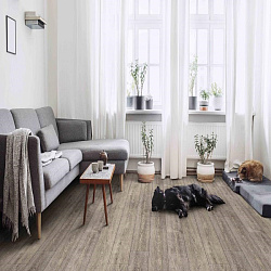 Линолеум Holiday Indian Oak 6 IDEAL