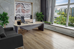 SPC-ламинат замковая Вайпуа Grand Sequoia Light ALPINE FLOOR ЕСО 11-1901