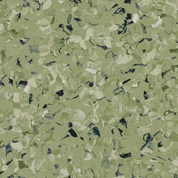 Линолеум IQ Toro SC Green 0576 TARKETT