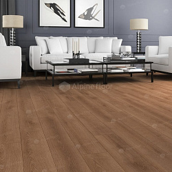 Ламинат ДУБ БРАУН PREMIUM ALPINE FLOOR by CAMSAN P1003