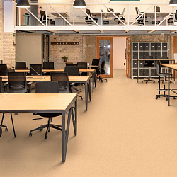 Линолеум OFFICE SONORA 5 PROFI