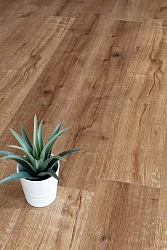 SPC-ламинат замковая Дуб Royal  Real Wood ALPINE FLOOR ECO 2-1