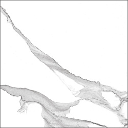 Керамогранит Anima Белый GT60608303MR GLOBAL TILE