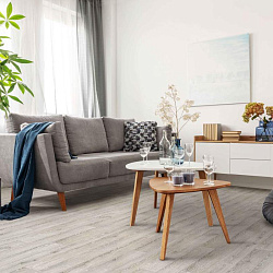 Линолеум Portman Gotick Oak 1 IDEAL