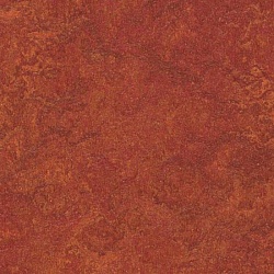 Линолеум Marmoleum 3203 Forbo