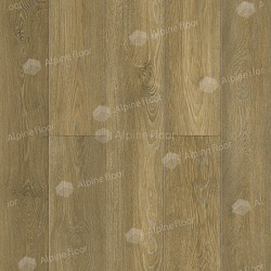 SPC - ламинат замковая Бук Classic Alpine Floor ЕСО 141-8 MC