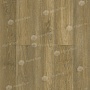 SPC-ламинат замковая Бук Classic ALPINE FLOOR ЕСО 141-8 MC