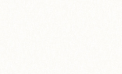 Обои Basic 60588-01 Erismann