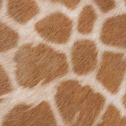 ПВХ-плитка клеевая Benny Lounge Digi Edition TARKETT 230346020