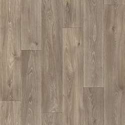 Линолеум Comfort Spenser 5 SINTEROS
