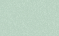 Обои Basic 60588-06 Erismann