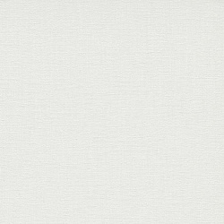 Обои Spotlight 12073-01 Erismann
