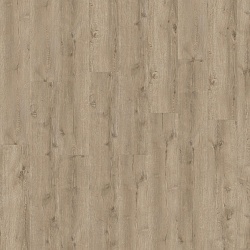 SPC-ламинат замковая Major Oak 05829LG Eterna Acoustic ADELAR 400087688